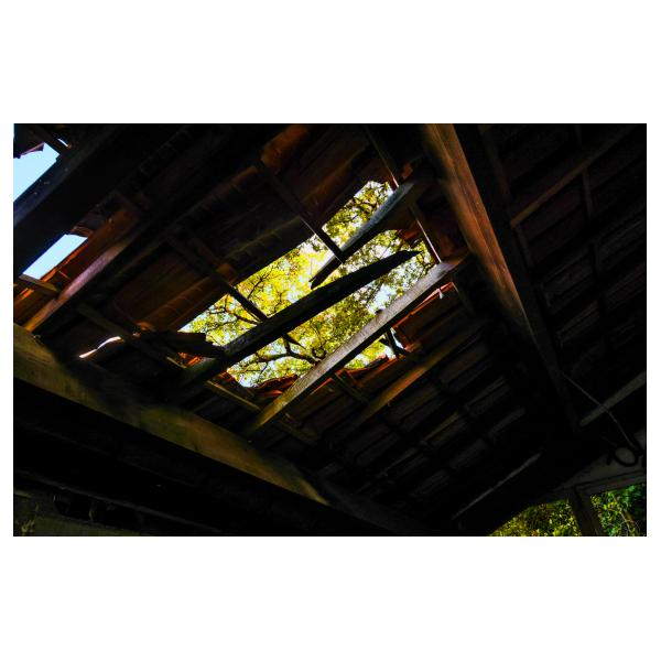 PHOTO84, CLUB, 84 , LUBERON